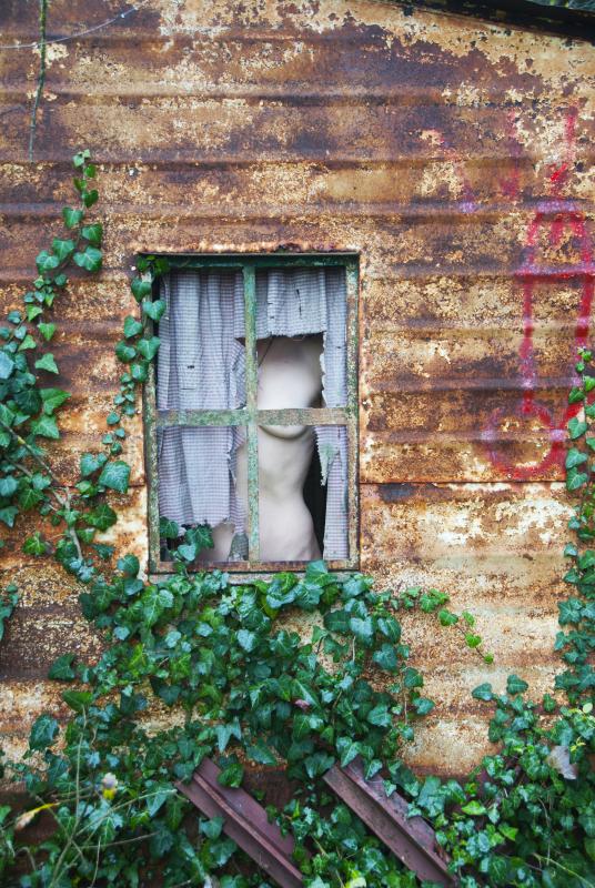 "Alla finestra" © Anna Bomba
